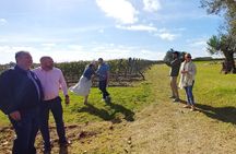 Uruguay Winery Visit and lunch with Wines!