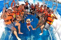 Crystal Boat Tour with Snorkeling and Drinks in Cozumel