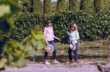 Private Luxury Transportation Experience - Napa