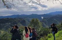 Birding route to learn about nature, Salento
