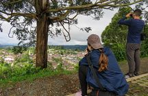 Birding route to learn about nature, Salento