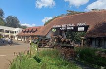 Layover and Stopover in Nairobi Private Tour