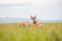 Private 7 Days Classic Safari Tour in Tanzania