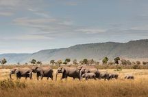 Private 7 Days Classic Safari Tour in Tanzania