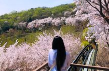 From Seoul : Hwadamsup Garden Entrance Ticket with Shuttle Bus