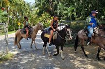 Horseback Riding, Zipline, Eco Park Adventure in Roatan