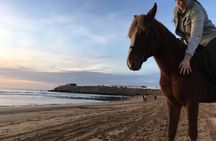 Horse Ride on the Beach From Awrir or Tamraght