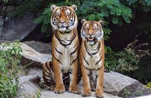 Dhikala Forest Rest House Night Stay in Jim Corbett National Park
