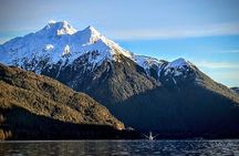 Private Sitka Wildlife LAND & SEA COMBO for 6 w/meal