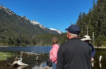 Sitka's Favorite Sites Private Land Tour for 6 (Meal option avail