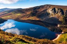 Private Day Trips from Dublin - Sheep Dog Demo & Glendalough