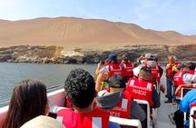 Full Day Tour to Visit Ballestas Islands and Paracas Reserve