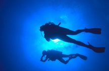 Paracas: Dive Discovery Scuba - Diving in Paracas 