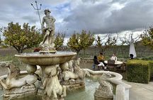 Muir Woods & Wine Country