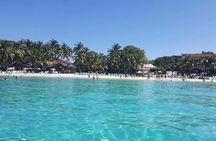 Roatan Monkey & Sloth Tour, Chocolate & Rum factory +beach break 