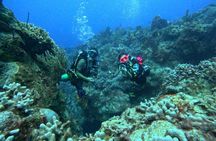 Enjoy two dives without previous experience with a boat trip