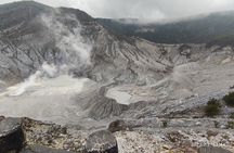 Volcano Trekking, Hot Spring, Tea and Coffee Tour