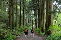 Hike Japan Heritage Hakone Hachiri (Half Day)