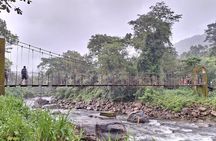 Wild Elephant Anakulam & Waterfalls Tour(munnar valley Trekking)