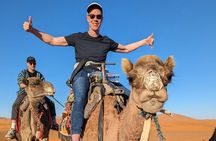 From Fes to Marrakech: 4 Day group tour via the desert Merzouga 