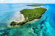 Dolphin and Tumbatu Island Snorkeling Tour with Pickup