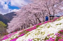 Mt. Fuji Panoramic Ropeway, 5th Station, And Oshino Hakkai Tour