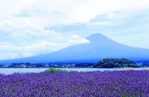 Mt. Fuji Panoramic Ropeway, 5th Station, And Oshino Hakkai Tour