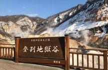 Hokkaido Day Tour from Sapporo: with Bear Park Option