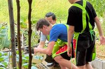 Authentic Thai Cooking with Visit Local Market 