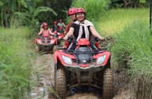 Affordable ATV Quad Bike Adventure In Ubud 