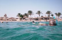 Snorkeling with Turtles in Sharm El Naga Full Day from Hurghada