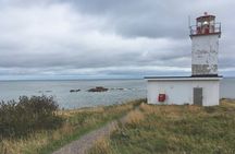 Private Sightseeing Tour In Saint John