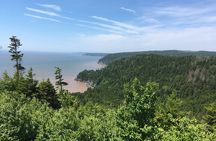 Bay of Fundy Tour in Luxury Car