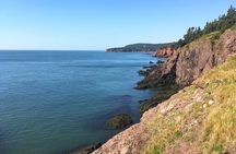 Bay of Fundy Tour in Luxury Car