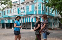 Garden District Tour Extra Small Group of 9 or less