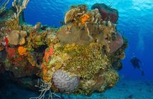 PADI Open Water Diver Course in the Riviera Maya 