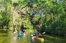 Paddle and Brew Adventure in Tavares with Beer Flight Tasting 