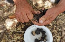 Truffle Hunting, Culinary & Wine Celebration from Heraklion