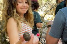 Truffle Hunting, Culinary & Wine Celebration from Heraklion