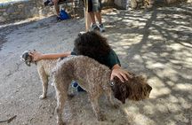 Truffle Hunting, Culinary & Wine Celebration from Heraklion