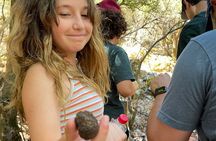 Truffle Hunting, Culinary & Wine Celebration from Elounda