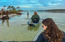 Clear Kayak Ecotour Destin Ft. Walton Beach