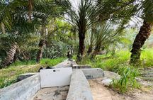 Private -Full Day Alain City Tour With Lunch