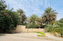 Private -Full Day Alain City Tour With Lunch