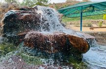 Full Day Al Ain City Tour with Lunch