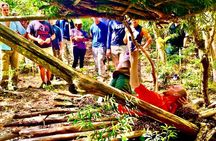 Island Survival Skills Training Adventure (4 Hours)