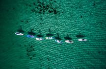Stand Up Paddle Board Experience on Pristine Gnarabup Bay