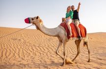 Private Dubai, 4-Hour, Red Dunes Safari, Camel Ride Sandboarding.