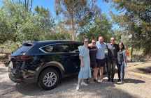 Wine Tasting and Lunch Private Tour in McLaren Vale