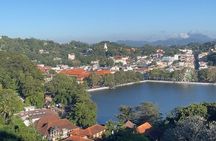 Private Full Day Tour Sigiriya and Dambulla From Kandy 